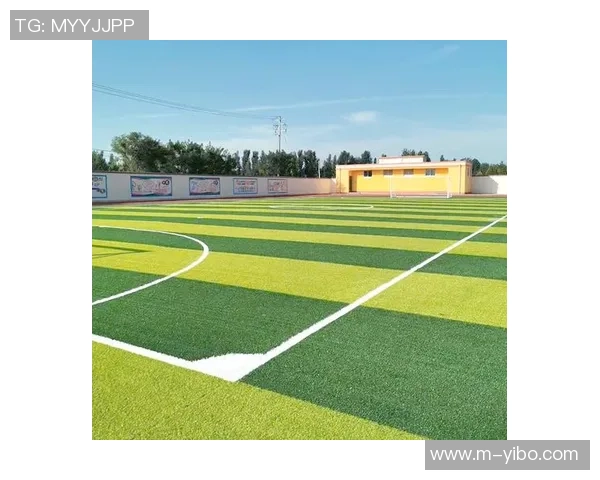 足球场草坪维护技巧与管理经验分享助力提升比赛质量与观赏性